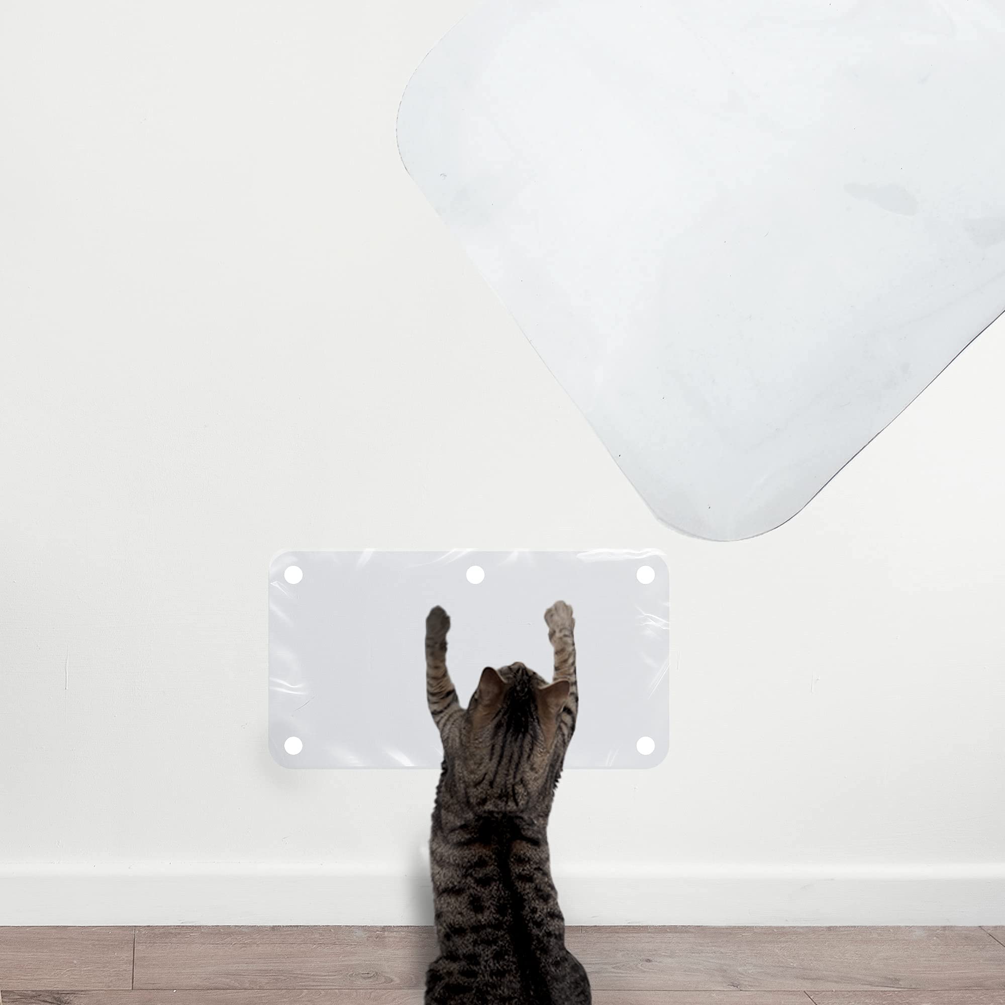 Kids & Pet Protectors